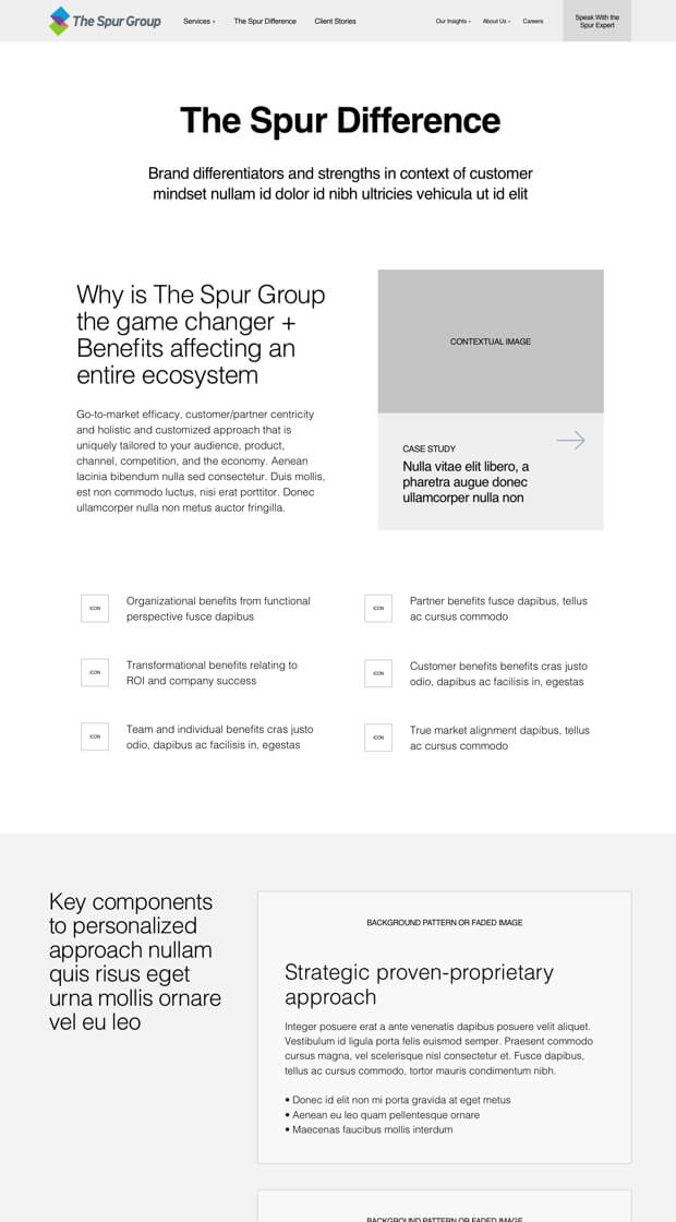 Portfolio Example The Spur Group